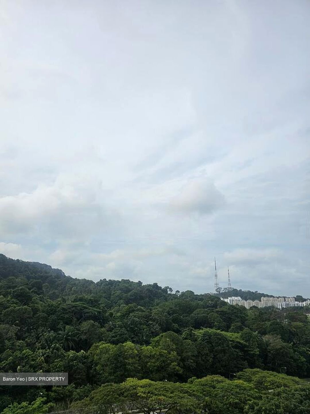 The Skywoods (D23), Condominium #456304211